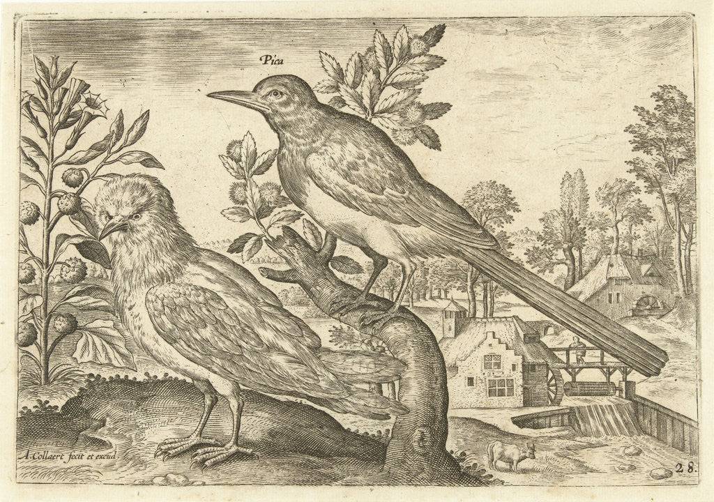 Detail of Two birds in a landscape by Adriaen Collaert