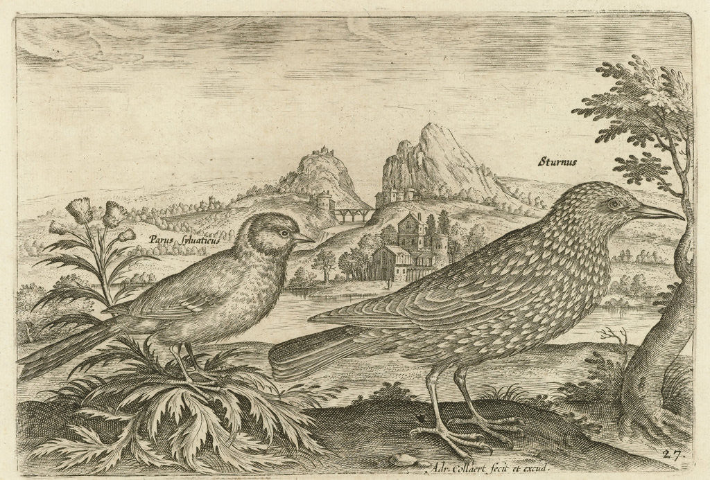 Detail of Two birds in a landscape by Adriaen Collaert