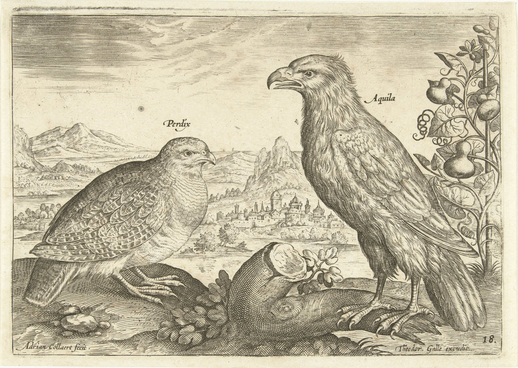 Detail of Two birds in a landscape by Adriaen Collaert