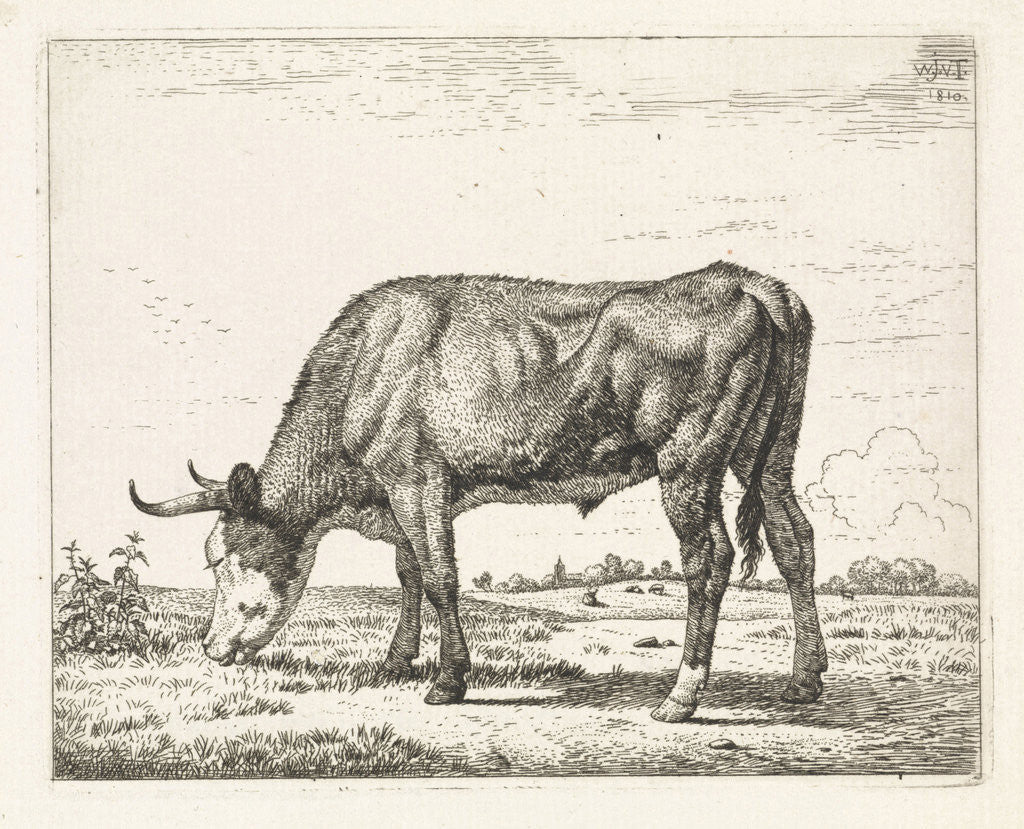 Detail of Grazing cow by Wouter Johannes van Troostwijk