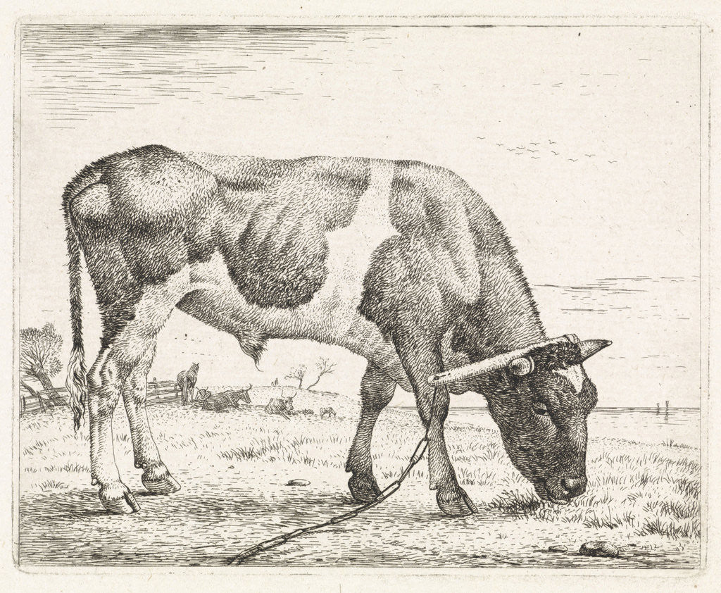 Detail of Grazing ox by Wouter Johannes van Troostwijk