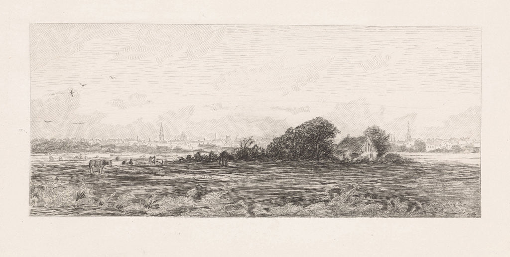 Detail of Cityscape with meadows in the foreground by Elias Stark