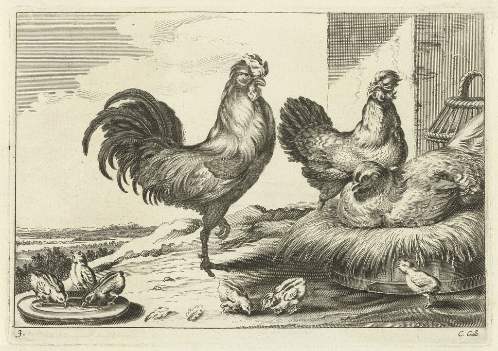 Detail of Chicken, roosters and chicks by Francis Barlow