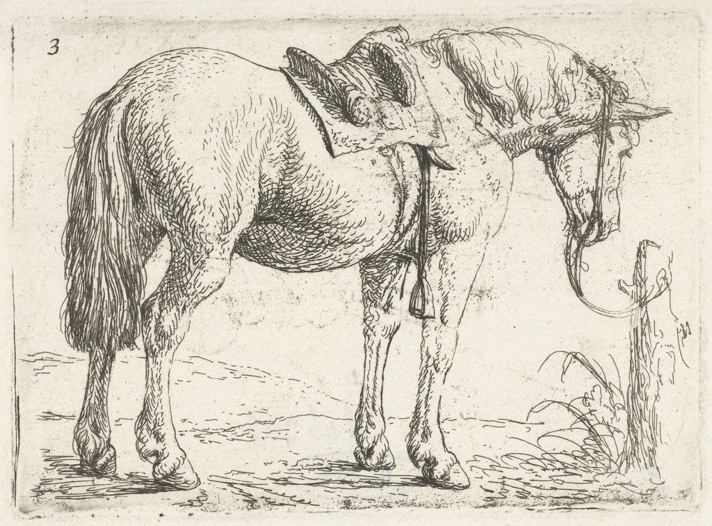 Detail of Horse with saddle by Jochem Bormeester