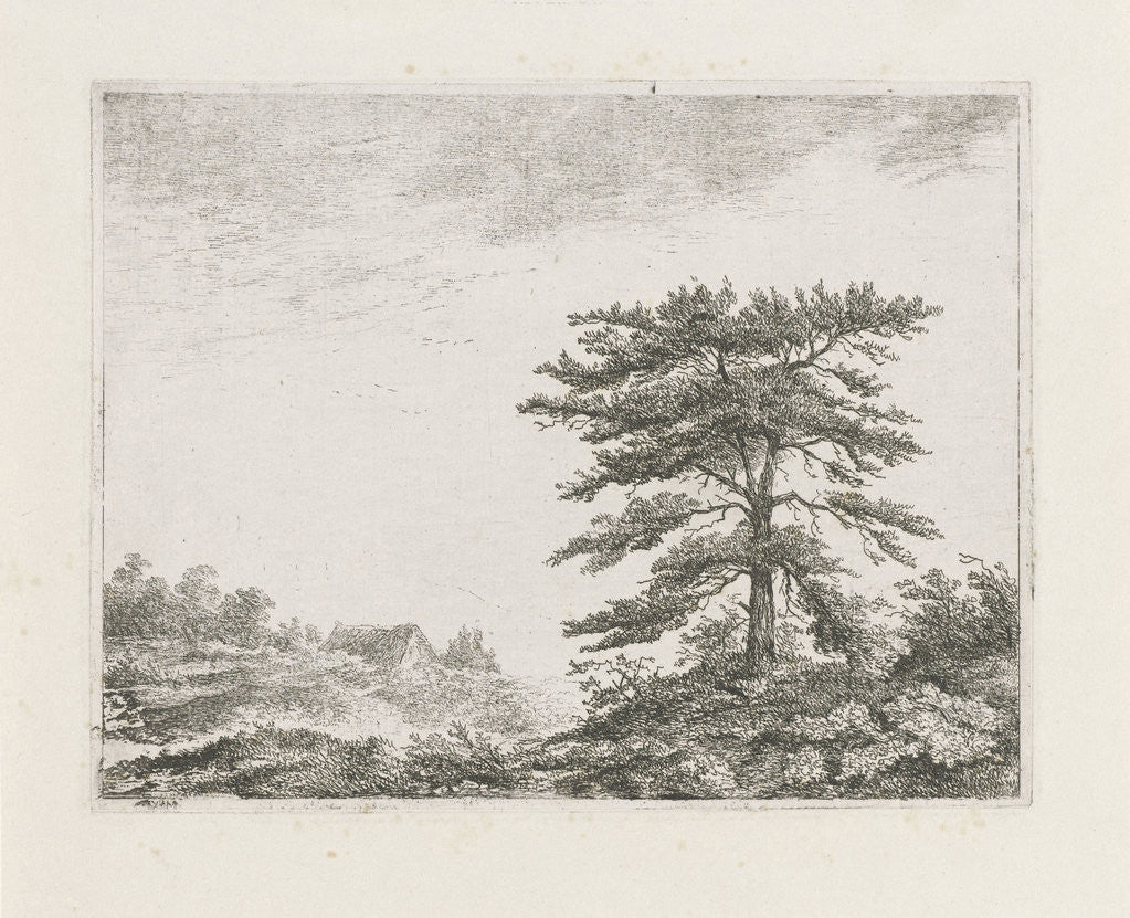 Detail of Tree in a moorland by Christiaan Wilhelmus Moorrees