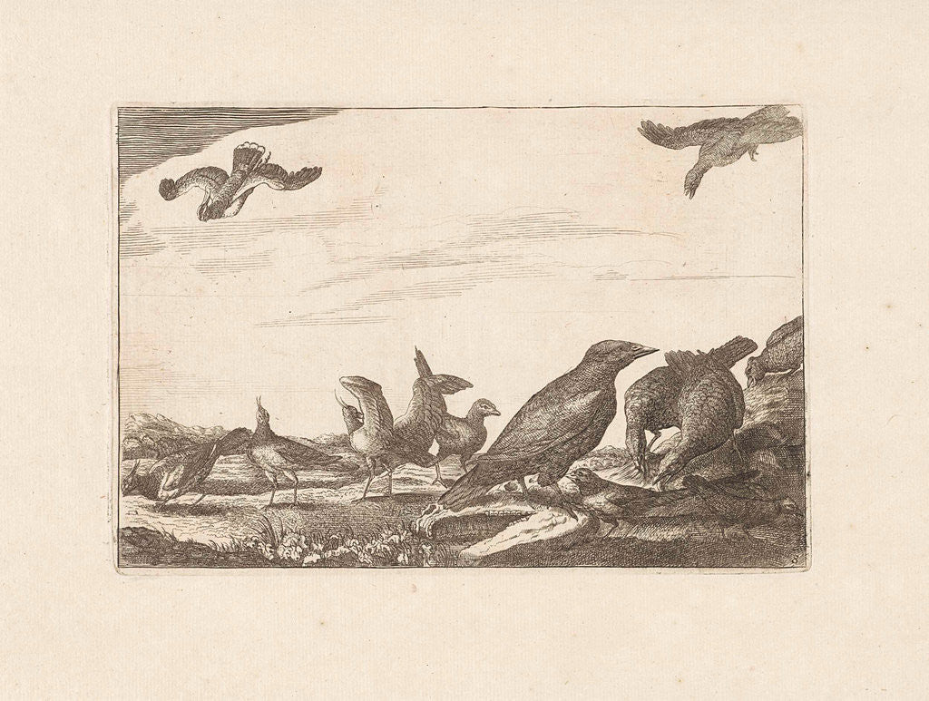 Detail of Crow and pheasants by Pieter Schenk I