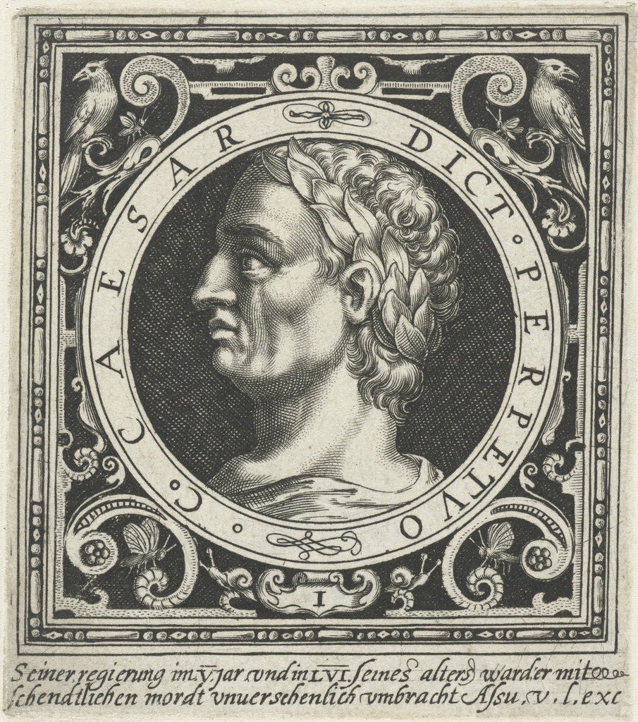 Detail of Portrait of Julius Caesar medallion by Nicolaes de Bruyn