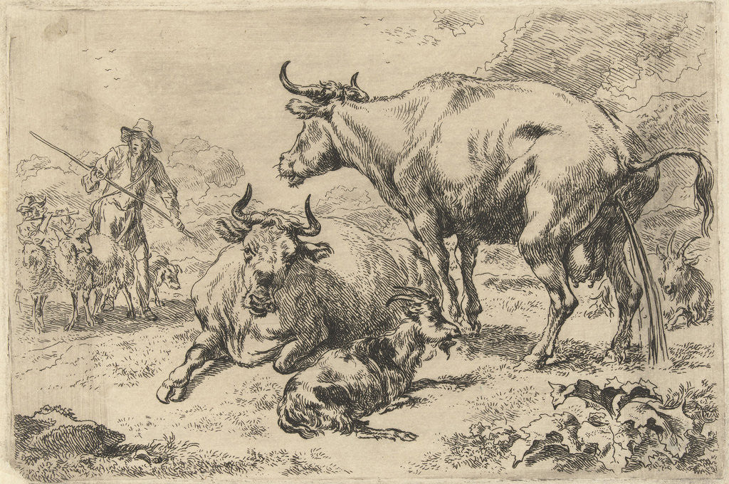 Detail of Reclining and a urinating cow by Nicolaes Pietersz. Berchem