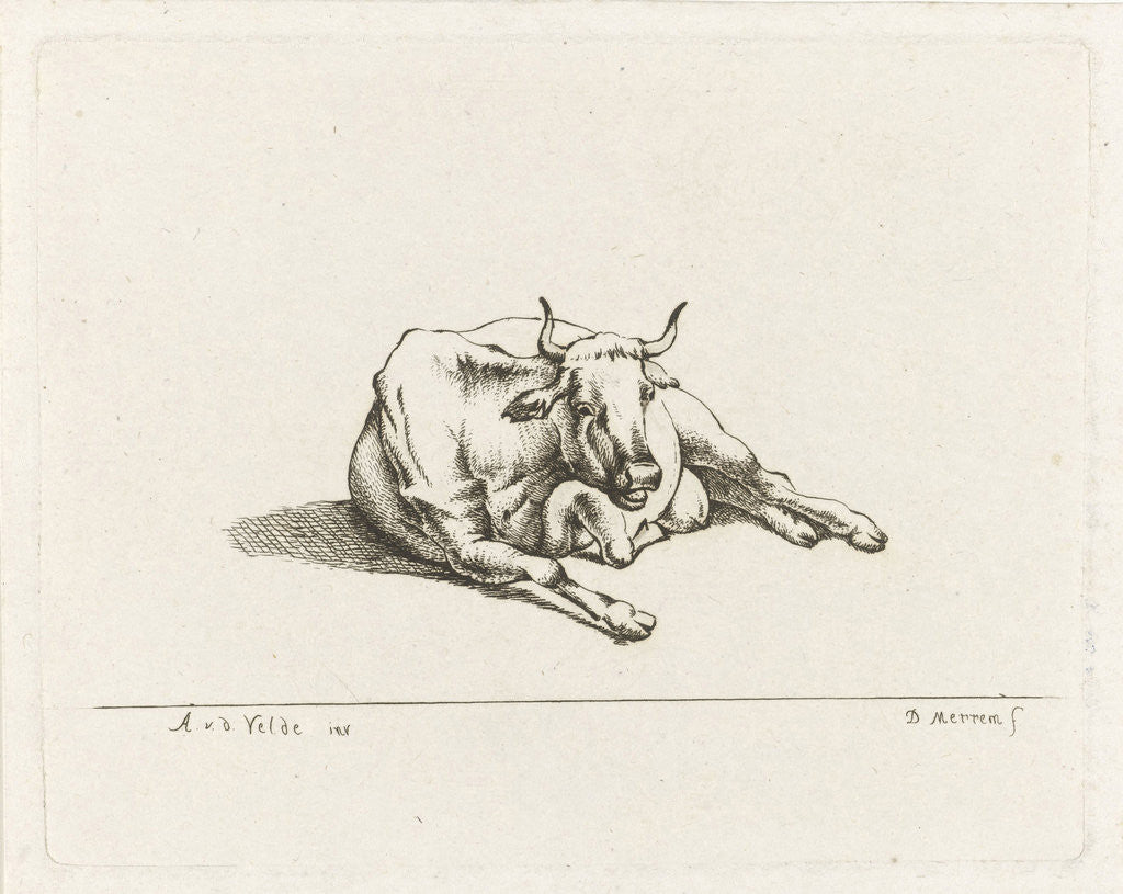 Detail of Lying cow by D. Merrem
