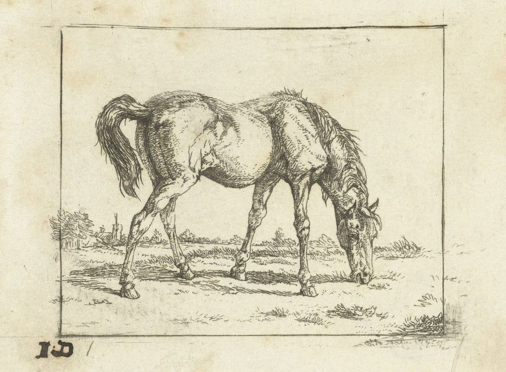 Detail of Grazing horse by Jan Dasveldt