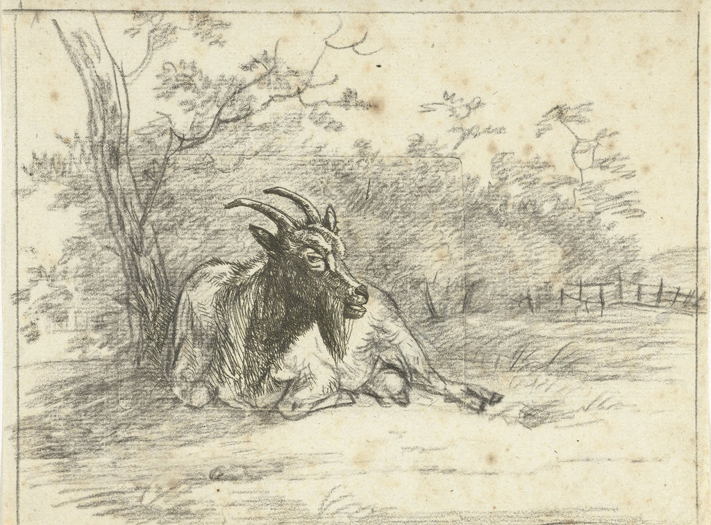 Detail of Lying goat by Jan Dasveldt