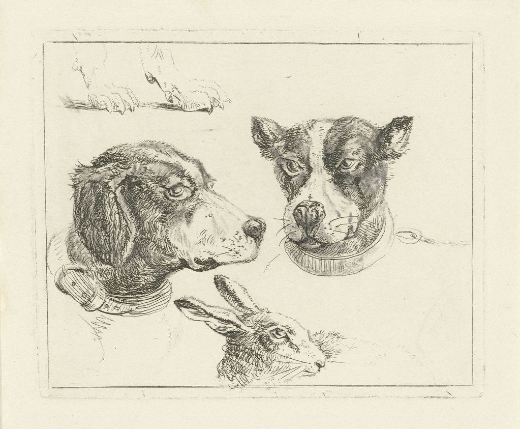 Detail of Study Sheet with two dog heads, paws dog and head of hare by Jan Dasveldt
