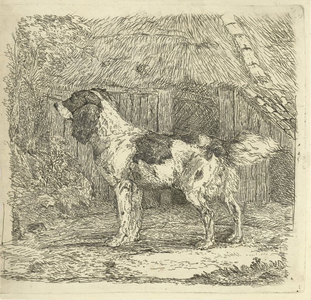 Detail of Dog standing in loft by Jan Dasveldt