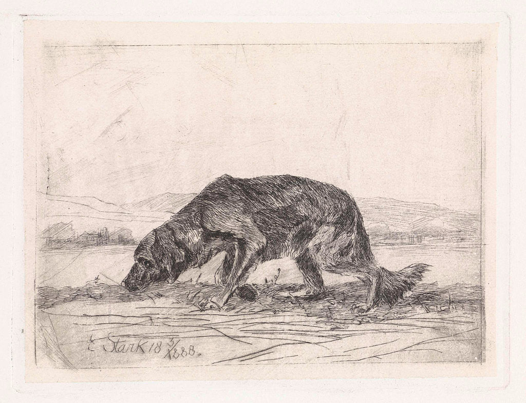 Detail of Dog by Elias Stark