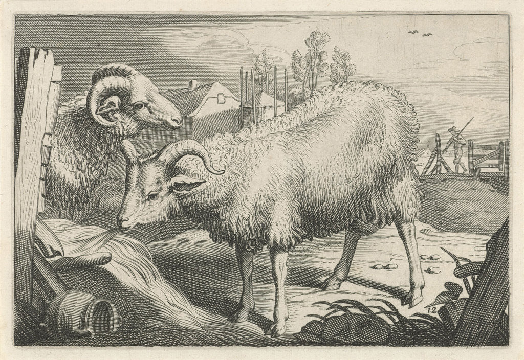 Detail of Pasture with a sheep and a ram by Nicolaes Visscher I