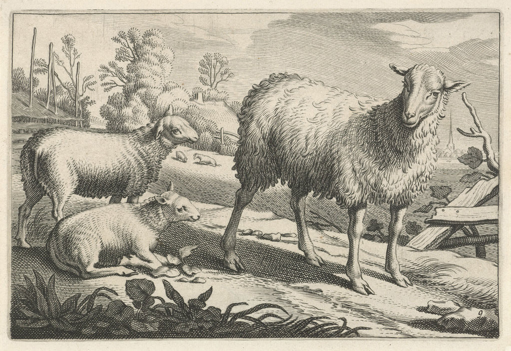 Detail of Pasture with a sheep and two lambs by Nicolaes Visscher I