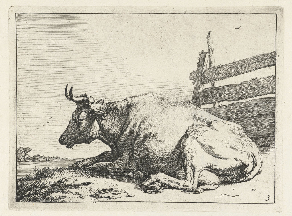 Detail of Lying cow near a fence by Paulus Potter
