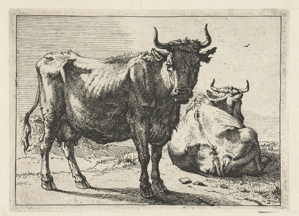 Detail of A standing and a lying cow by Paulus Potter