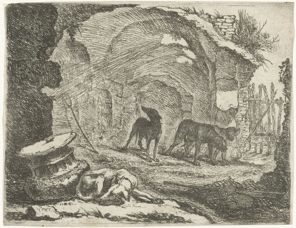 Detail of Four dogs near a ruin by Jan Fijt