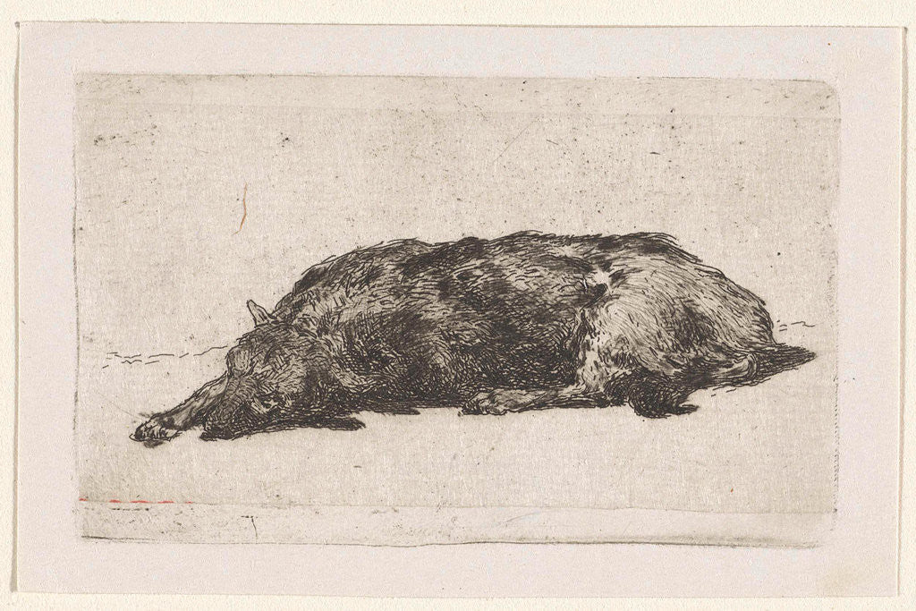 Detail of Sleeping dog by Jan Weissenbruch
