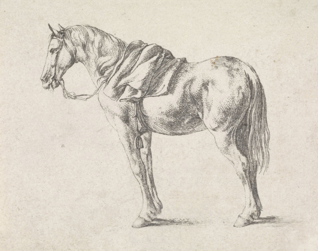 Detail of Saddled horse by Philips Wouwerman