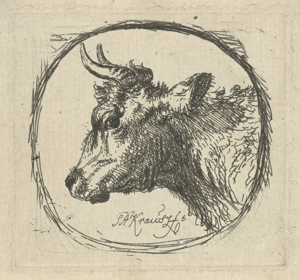 Detail of Cow's head in profile to the left by Simon Andreas Krausz