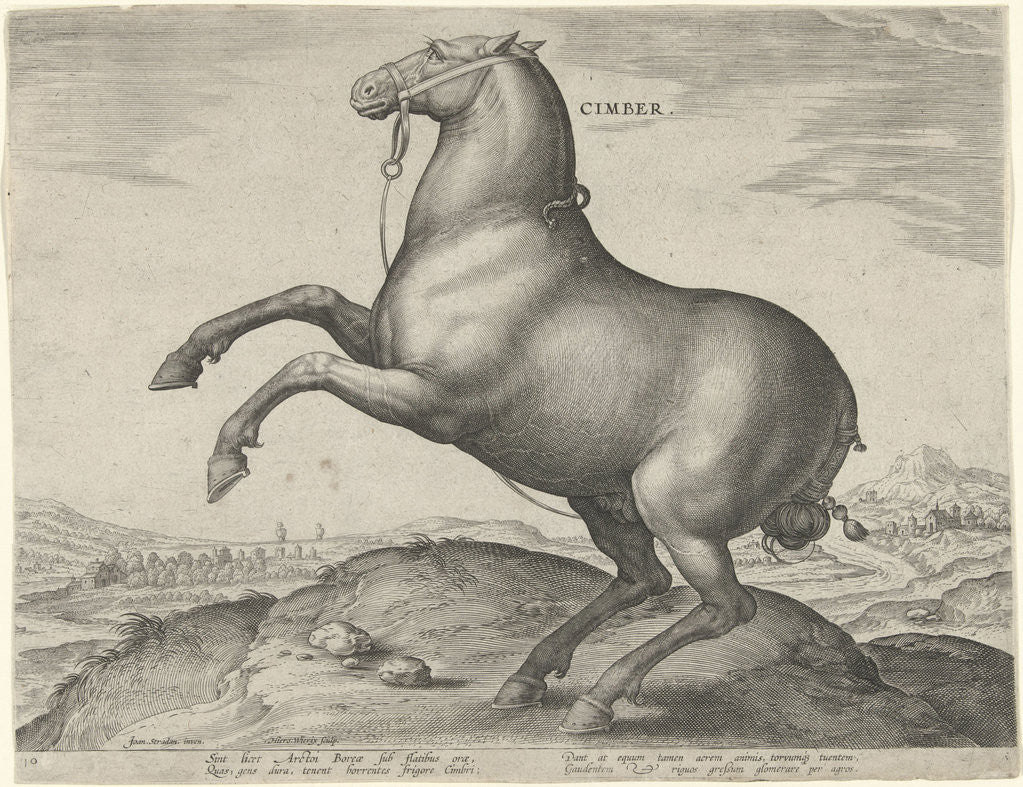 Detail of Horse from Scythia by Philips Galle