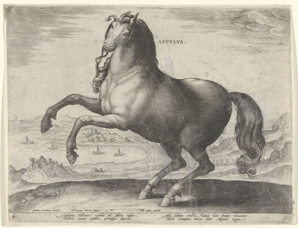 Detail of Horse from Southern Italy Appulus by Philips Galle
