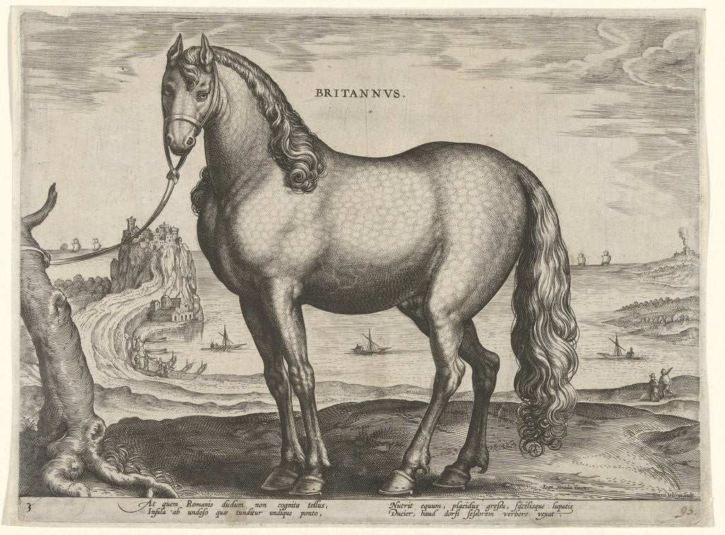 Detail of Horse from Brittany, Brittanus by Philips Galle