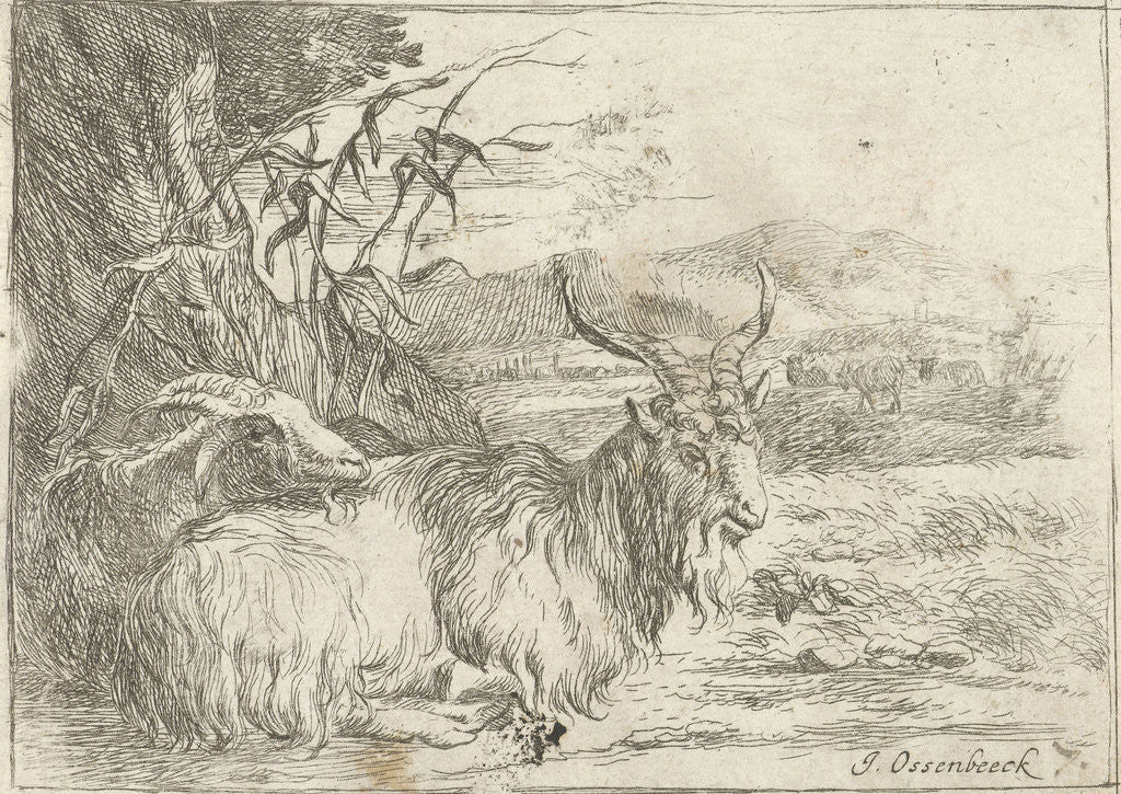 Detail of Goat under a tree by Nicolaes Pietersz. Berchem