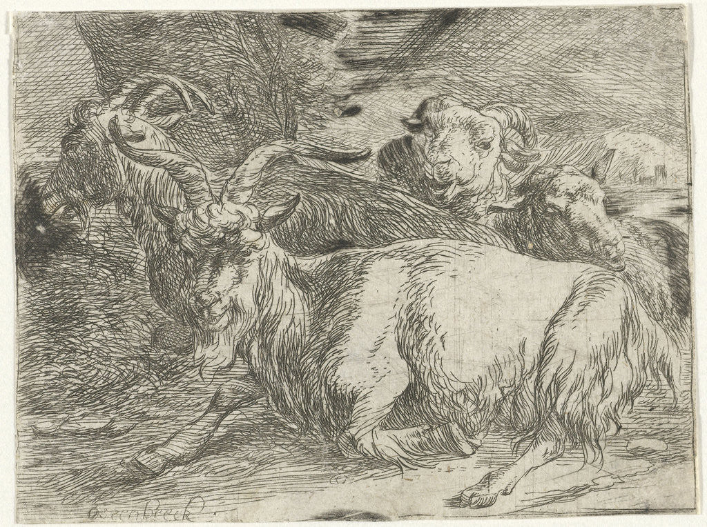 Detail of Two goats and two sheep by Jan van Ossenbeeck
