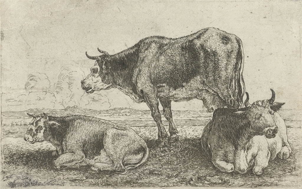 Detail of Three cows by Jan van den Hecke I