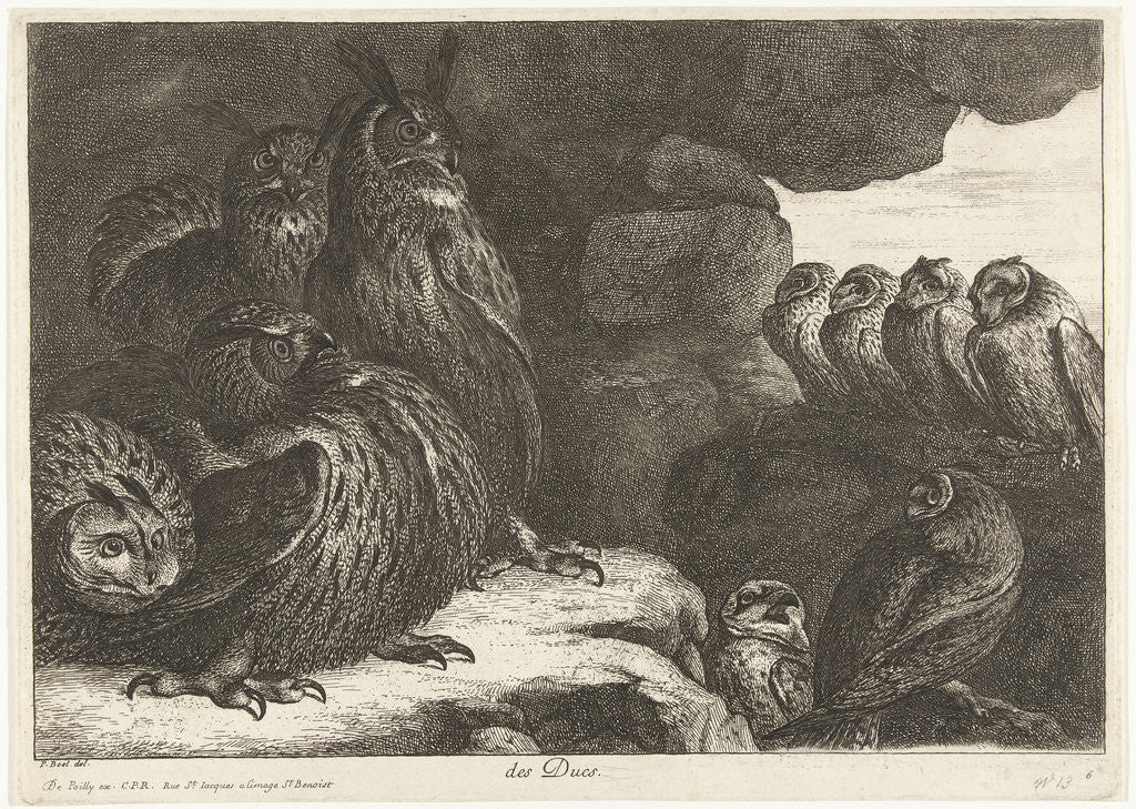 Detail of Owls in a cave by King of France