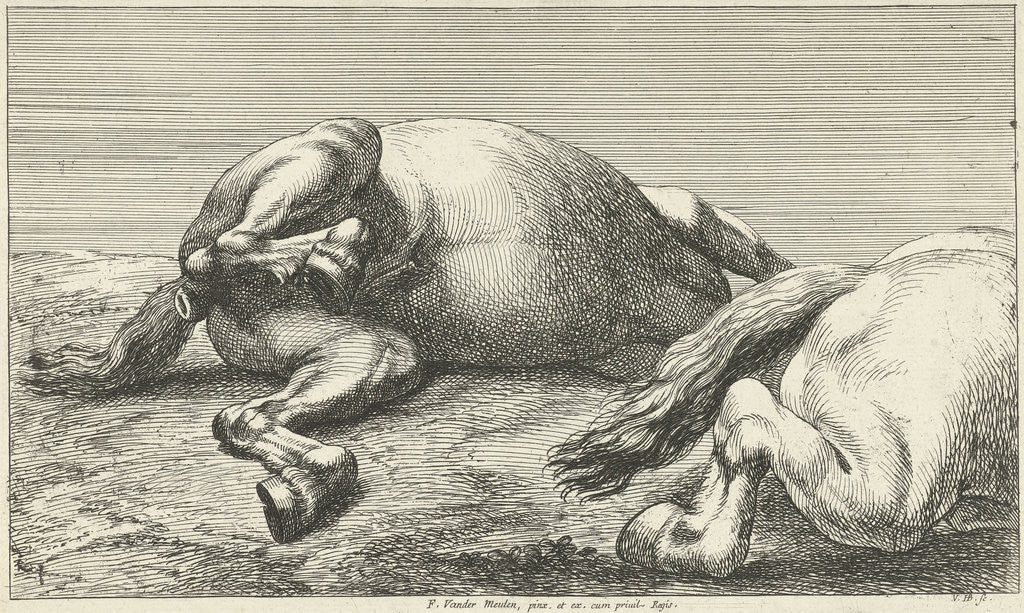 Detail of Two killed horses by unknown