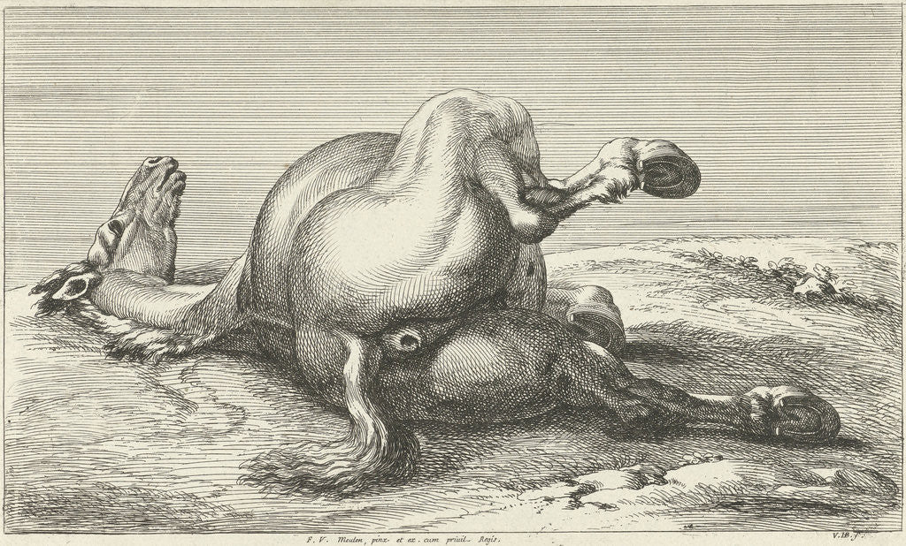 Detail of Killed horse by Anonymous