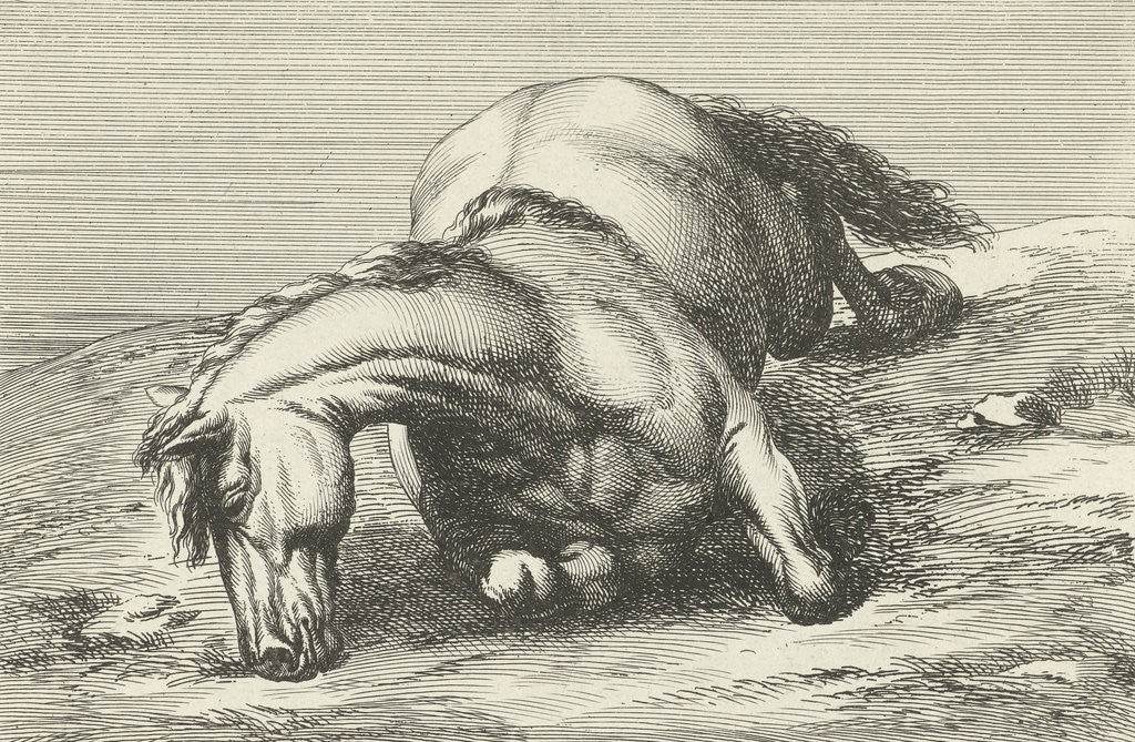 Detail of Killed horse by Anonymous
