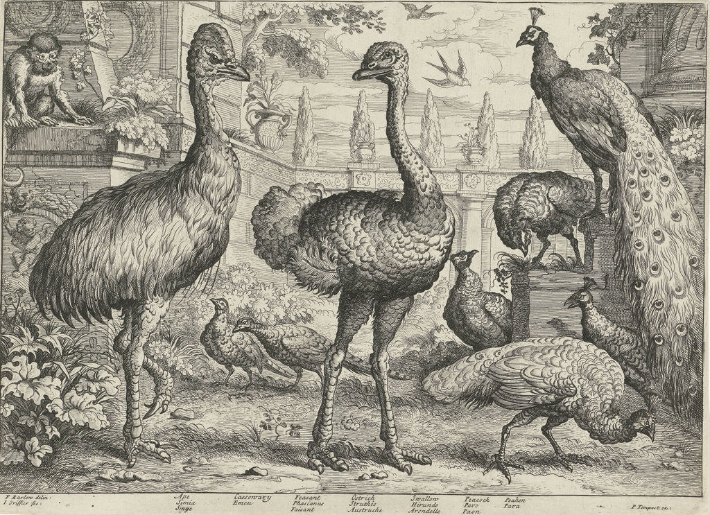 Detail of Various birds and a monkey by Pierce Tempest