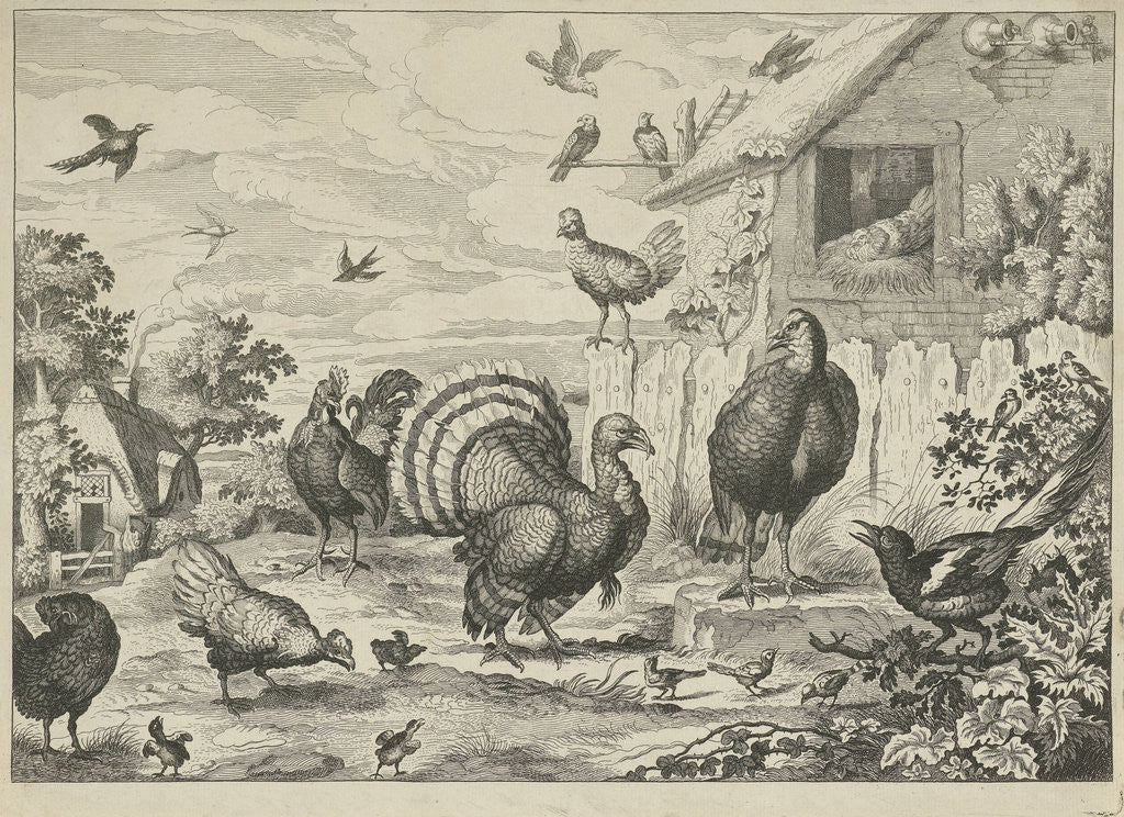 Detail of Different poultry and a turkey by Francis Barlow