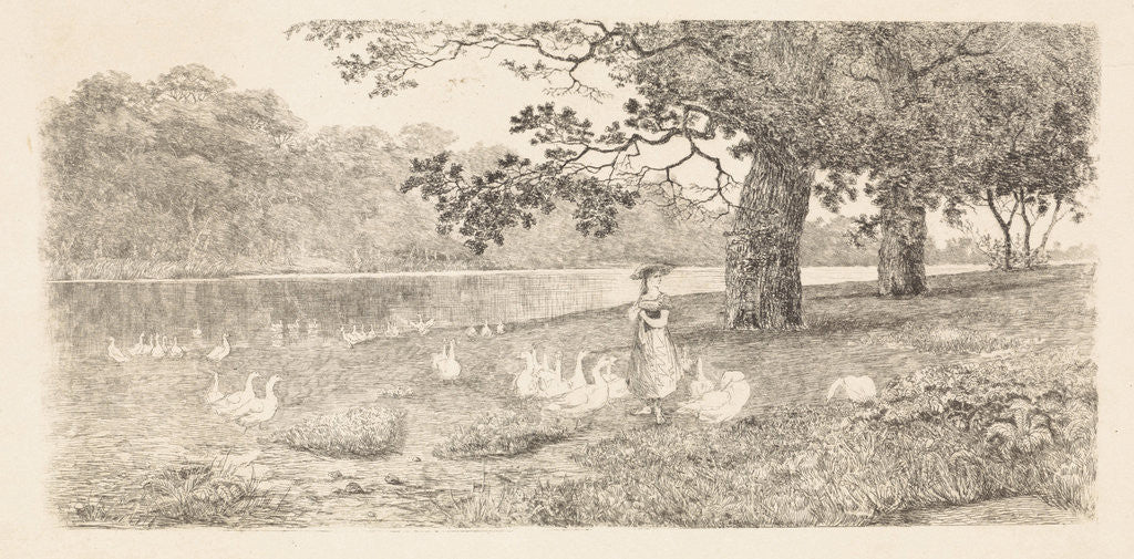 Detail of Geese in the water by Elias Stark