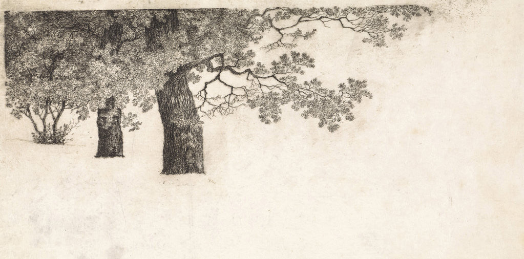 Detail of Geese in the water by Elias Stark