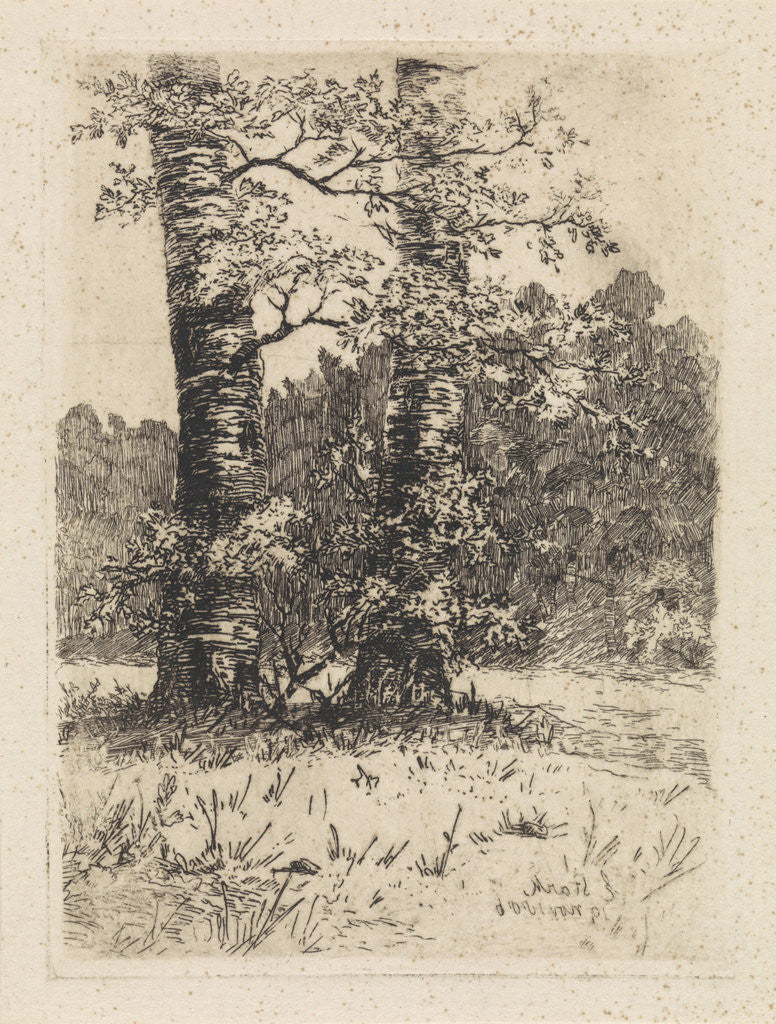 Detail of Two trees by Elias Stark