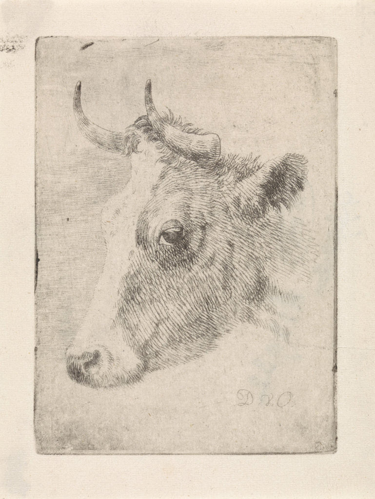 Detail of Head of a bull by Dirk van Oosterhoudt