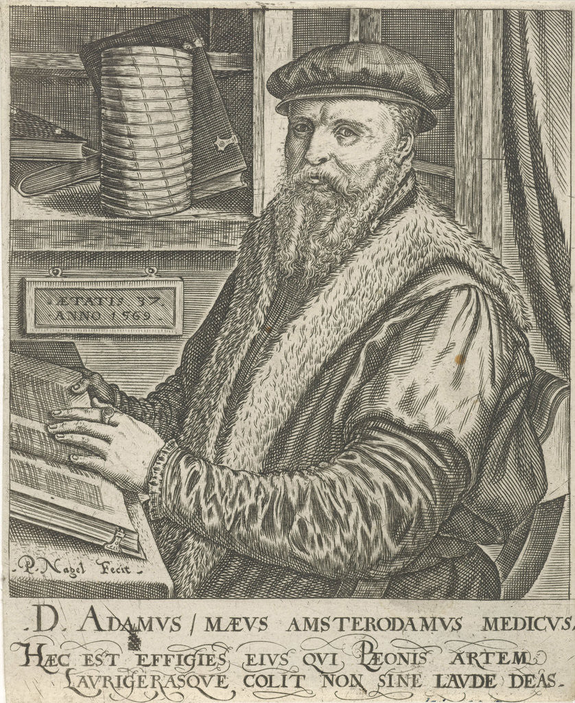 Detail of Portrait of Adam Maeus by Pieter Nagel