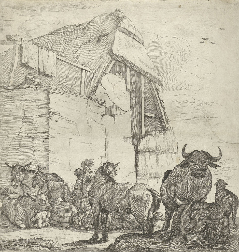 Detail of Resting cattle on a farm by Giovanni Giacomo Rossi