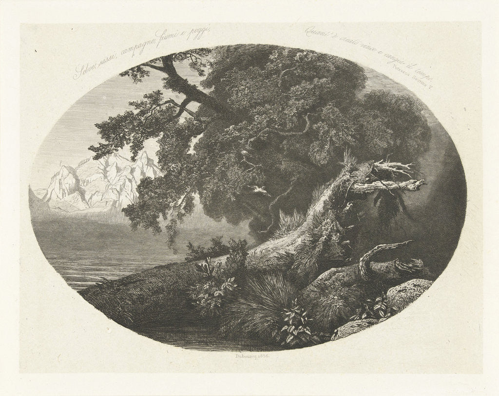 Detail of Uprooted tree trunk on the coast by Pierre Louis Dubourcq