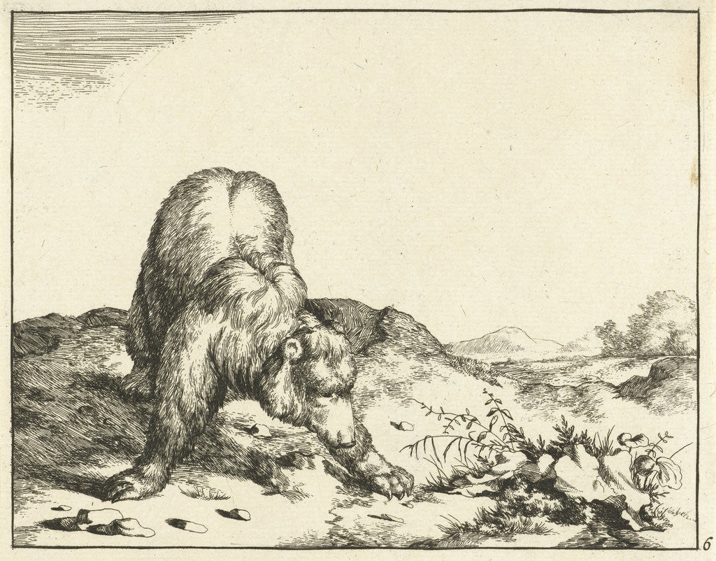 Detail of Standing Bear, from the front, the front legs wide apart by Anonymous