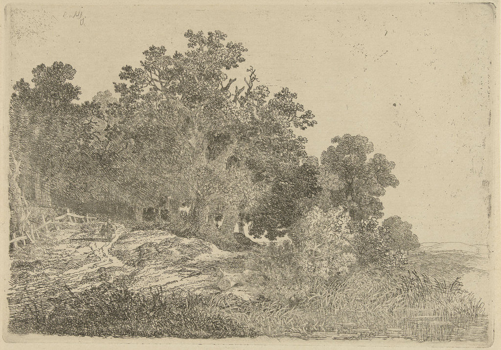 Detail of Forest view by Remigius Adrianus Haanen