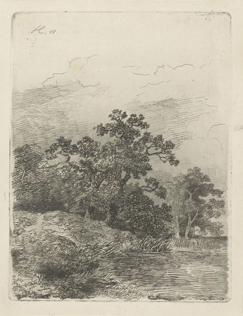 Detail of Forest scene with a lake by Remigius Adrianus Haanen