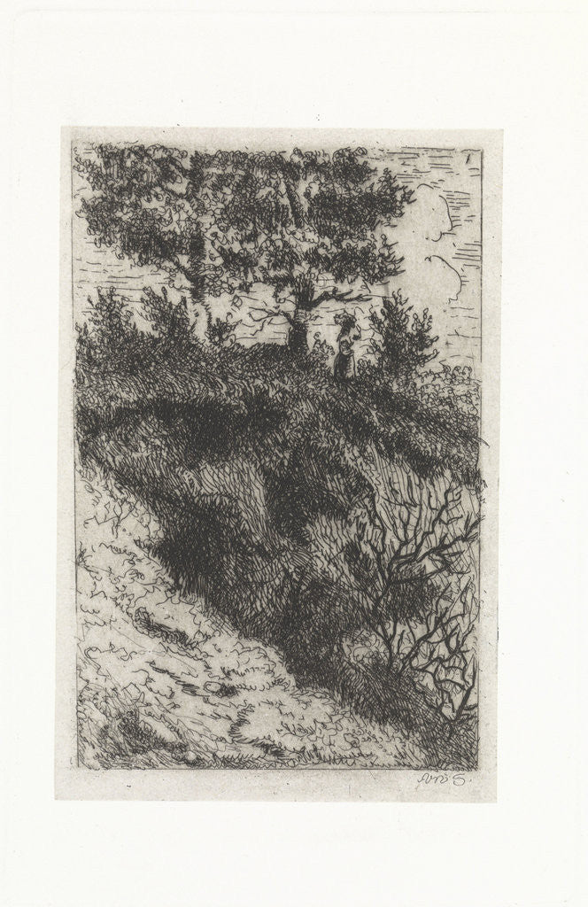 Detail of Woman in a dune landscape by Arnoud Schaepkens