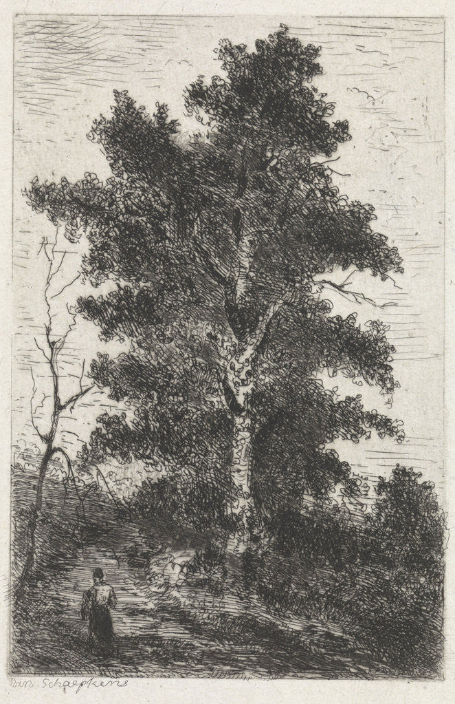 Detail of Beech by Arnoud Schaepkens